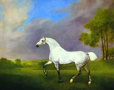 A Grey Horse George Stubbs